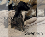 Small #3 Breeder Profile image