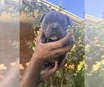 Small #11 Breeder Profile image