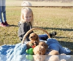 Small #6 Breeder Profile image