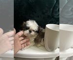 Small #10 Breeder Profile image