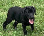 Small #3 Breeder Profile image