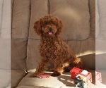 Small #4 Breeder Profile image