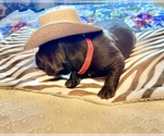 Small #27 Breeder Profile image