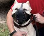 Small #2 Breeder Profile image