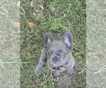 Small #5 Breeder Profile image