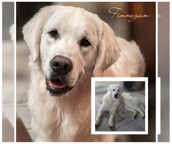 Medium Photo #6  Breeder Profile in MOLALLA, OR, USA