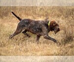 Small #2 Breeder Profile image
