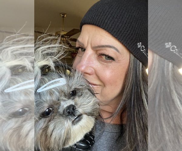 Medium Photo #1  Breeder Profile in YREKA, CA, USA
