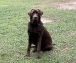 Small #3 Breeder Profile image