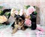 Small #9 Breeder Profile image
