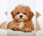 Small #3 Breeder Profile image