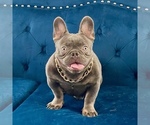 Small #19 Breeder Profile image