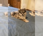 Small #23 Breeder Profile image