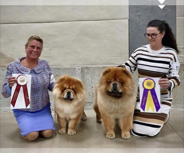 Medium Photo #6  Breeder Profile in PEABODY, KS, USA