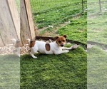 Small #27 Breeder Profile image