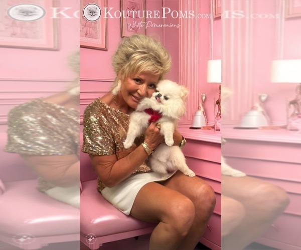 Medium Photo #22  Breeder Profile in CHARLOTTE, NC, USA