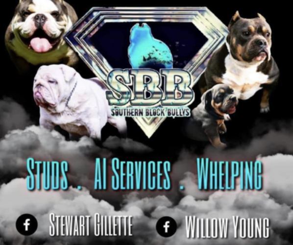 Medium Photo #1  Breeder Profile in WINNABOW, NC, USA