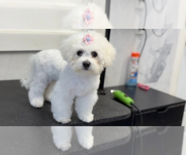 Medium Photo #8  Breeder Profile in PICKFORD, MI, USA