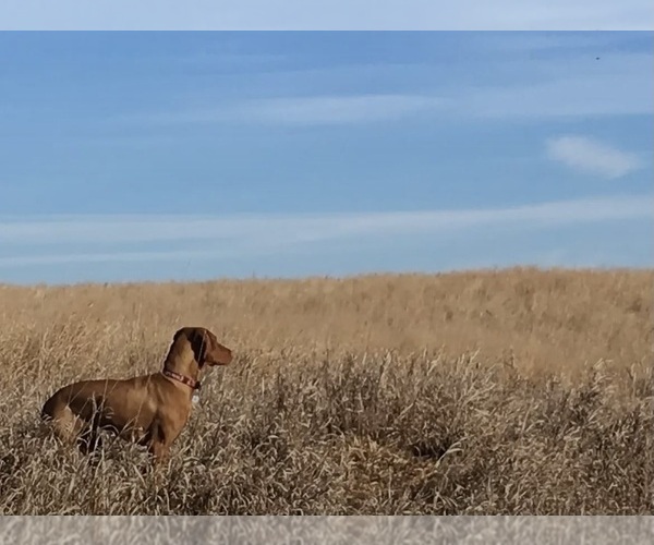 Medium Photo #5  Breeder Profile in GREENFIELD, IA, USA