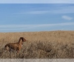 Small #4 Breeder Profile image