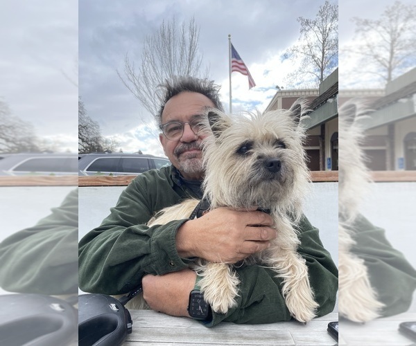 Medium Photo #50  Breeder Profile in FAIR OAKS, CA, USA