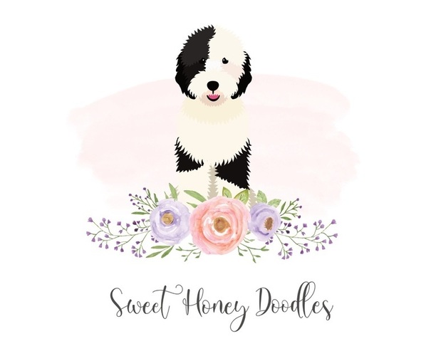 Medium Photo #1  Breeder Profile in SUMTERVILLE, FL, USA