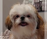 Small #3 Breeder Profile image