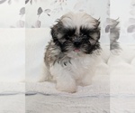 Small breeder photo