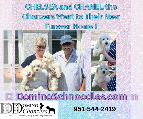 Medium Photo #7  Breeder Profile in MORENO VALLEY, CA, USA