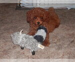 Small #7 Breeder Profile image