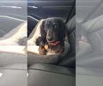 Small #2 Breeder Profile image