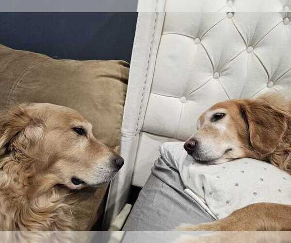 Medium Photo #1  Breeder Profile in UNION MILLS, IN, USA