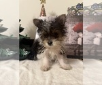 Small #4 Breeder Profile image