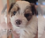 Small #10 Breeder Profile image