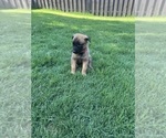 Small #8 Breeder Profile image