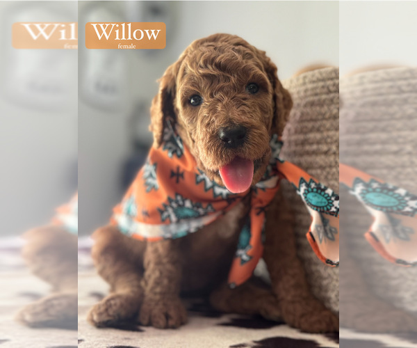 Medium Photo #1  Breeder Profile in MANHATTAN, KS, USA