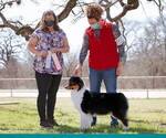 Small #1 Breeder Profile image