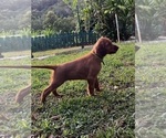 Small #7 Breeder Profile image