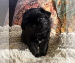 Small #7 Breeder Profile image