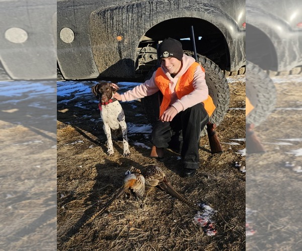 Medium Photo #14  Breeder Profile in EVANSVILLE, WY, USA