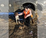 Small #13 Breeder Profile image