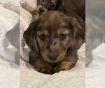 Small #30 Breeder Profile image