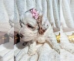 Small #10 Breeder Profile image