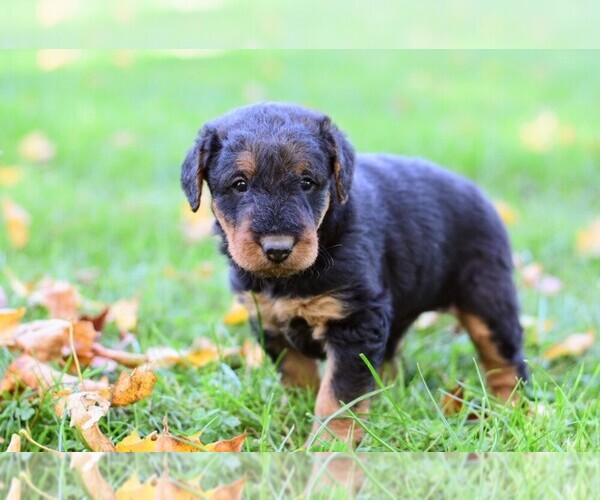 Medium Photo #1  Breeder Profile in MALTA, OH, USA