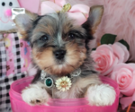 Small #10 Breeder Profile image