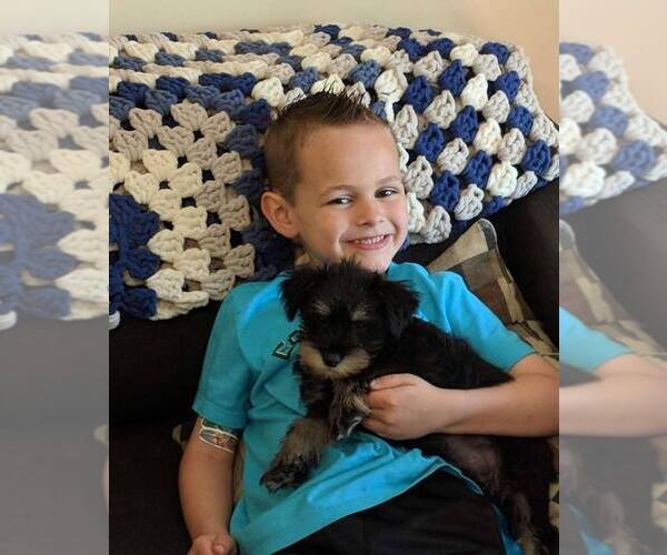 Medium Photo #1  Breeder Profile in HANOVER, OH, USA