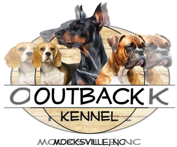 Medium Photo #1  Breeder Profile in MOCKSVILLE, NC, USA