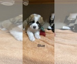 Small #4 Breeder Profile image
