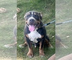 Small #2 Breeder Profile image