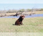 Small #7 Breeder Profile image